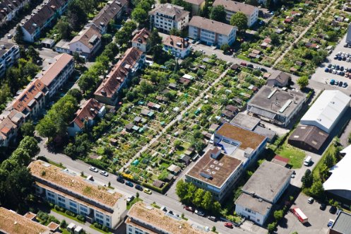 Luftaufnahme des Familiengartenareals Sandweg, Foto: Guido Schärli 
