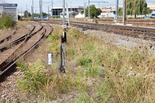 Blick auf ein Bahnareal mit Gleisen im Vordergrund