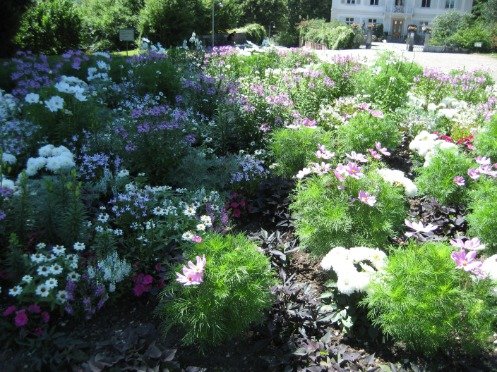 Mit einer Vielzahl an Blumenrabatten lockt der universitäre Botanische Garten seine Besucher an.