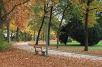 Parkweg mit Sitzbank mit buntem Herbstlaub auf dem Boden 