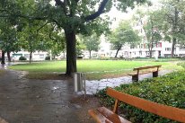 Der Tschudipark an einem regnerischen Tag