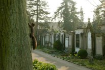 Kletterndes Eichhörnchen vor Grabreihe 