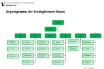 Organigramm der Stadtgärtnerei Basel, Stand Nov. 2019